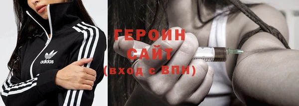 шишки Надым
