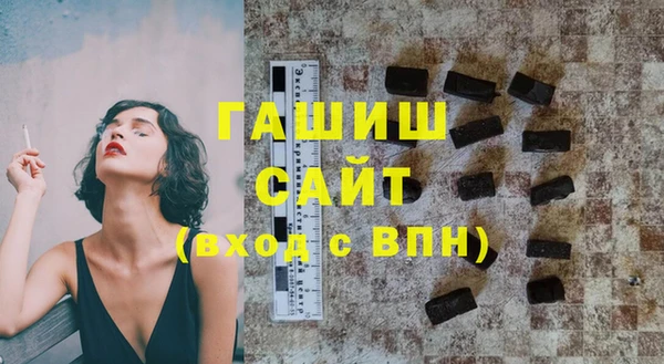 шишки Надым