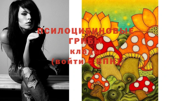 первитин Михайловка