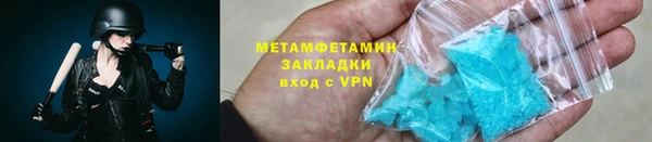 шишки Надым