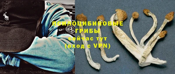мдпв Михайлов