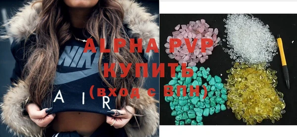 шишки Надым