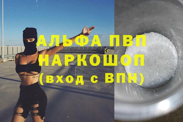 шишки Надым