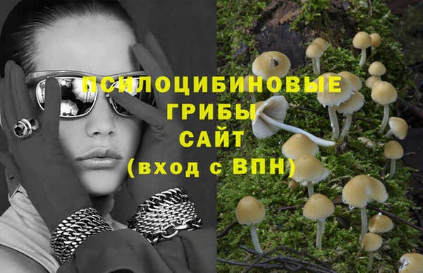 шишки Надым