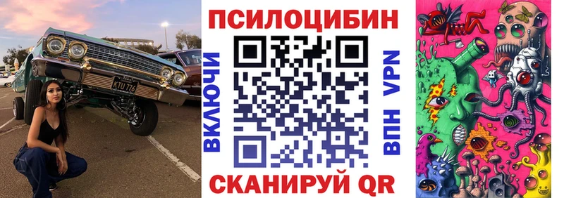 купить наркотики цена Железногорск-Илимский omg ссылки Галлюциногенные грибы ЛСД